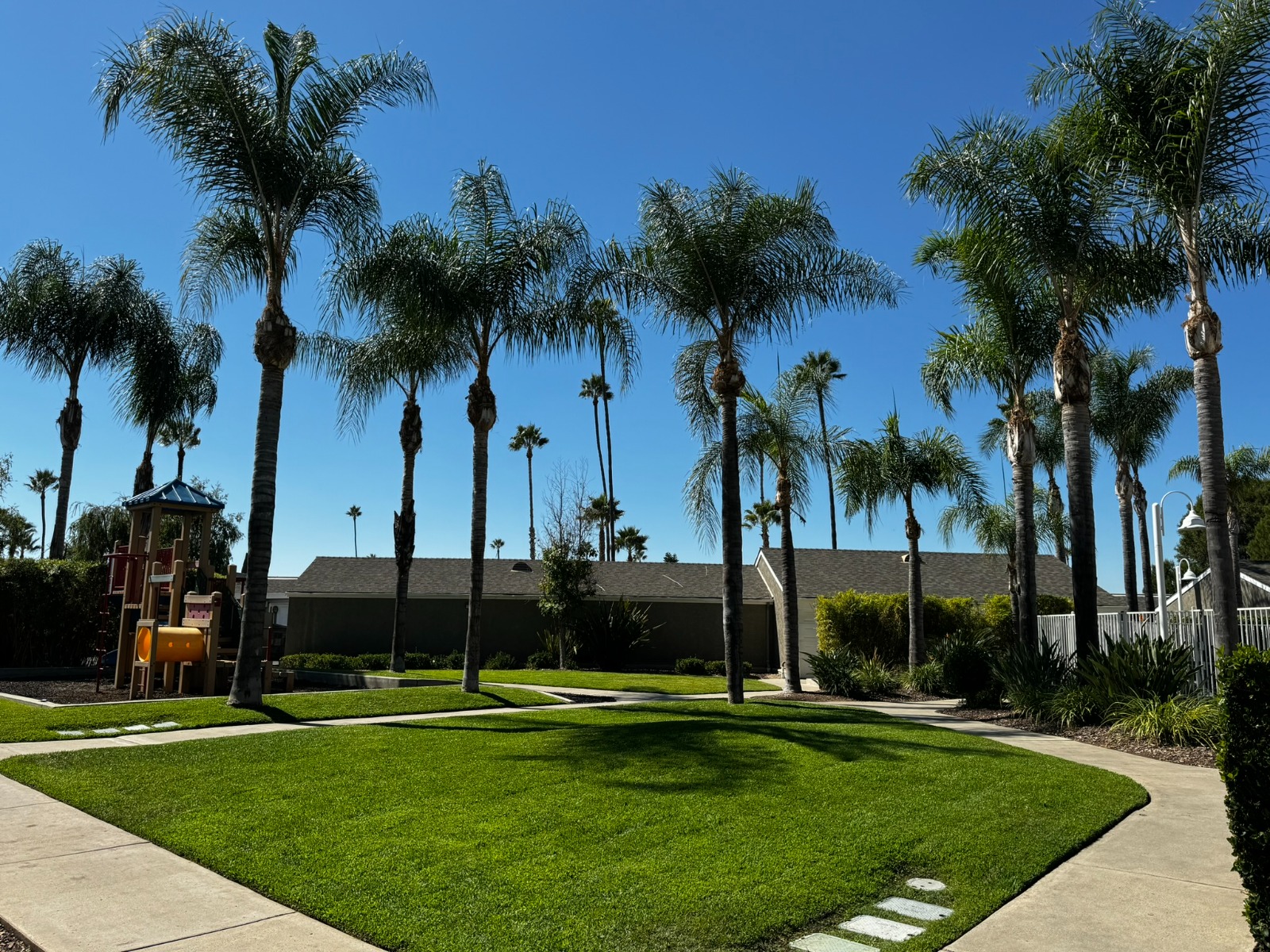 Lush residential community with palm trees, manicured lawn, and clear skies landscaped by Encanto in San Diego