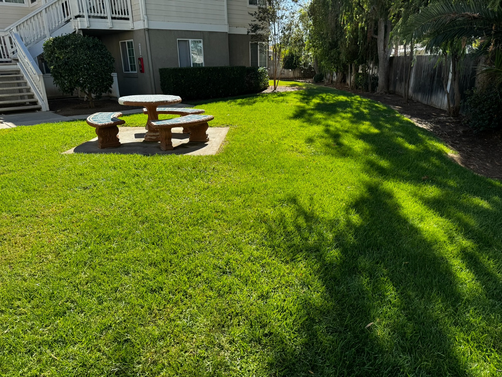 Well-kept lawn and mature trees on a managed property