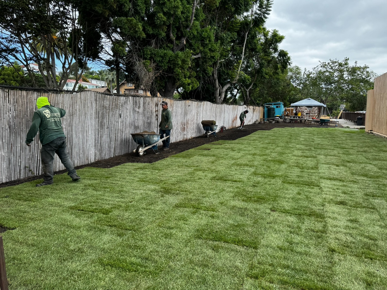 Crew installing fresh sod turf on a commercial property